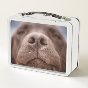 Chocolate Labrador Nose Closeup Metal Lunch Box