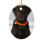 Chocolate Labrador Ornament