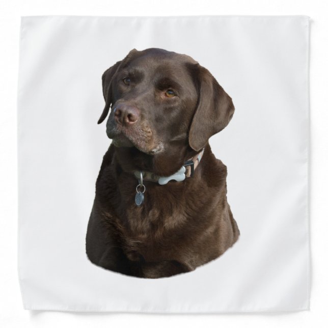 Chocolate Labrador photo portrait Bandana (Front)