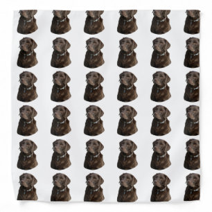 Chocolate Labrador photo portrait Bandana