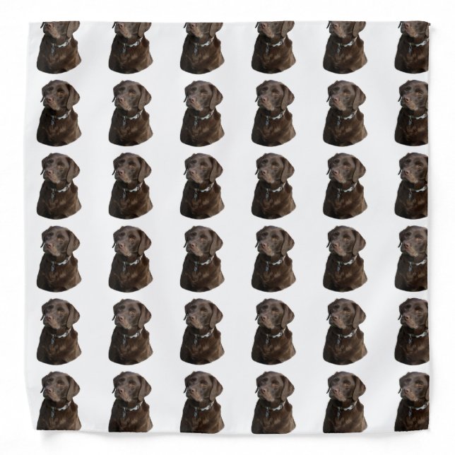 Chocolate Labrador photo portrait Bandana (Front)