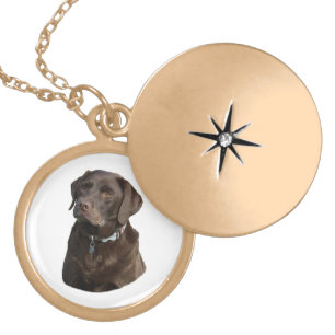 Chocolate Labrador photo portrait Gold Plated Necklace