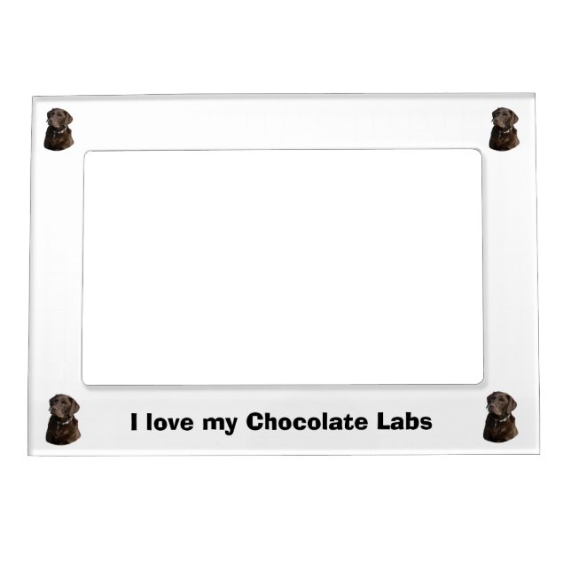 Chocolate Labrador photo portrait Magnetic Picture Frame (Front)