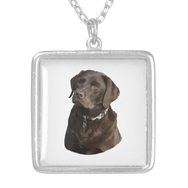 Chocolate Labrador photo portrait Silver Plated Necklace (Front)