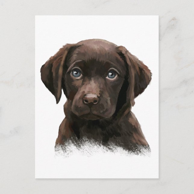 Chocolate Labrador Postcard (Front)