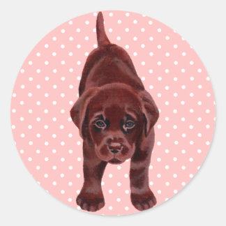 Chocolate Labrador Puppy Classic Round Sticker