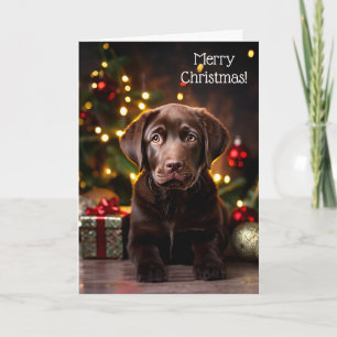 Chocolate Labrador Puppy Dog Christmas Card