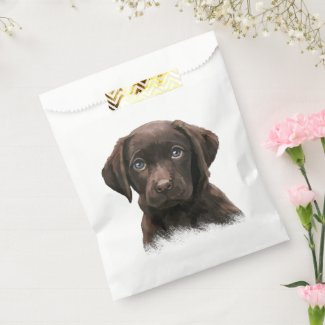 Chocolate Labrador Puppy