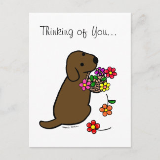 Chocolate Labrador Puppy Flower Basket Cartoon Postcard