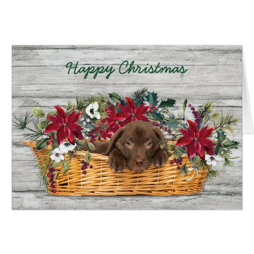 Chocolate Labrador Puppy in Basket Christmas Card