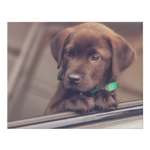 Chocolate Labrador Puppy In Car Faux Canvas Print