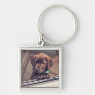 Chocolate Labrador Puppy In Car Keychain