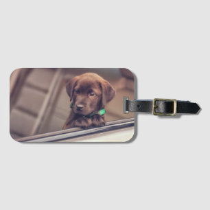 Chocolate Labrador Puppy In Car Luggage Tag