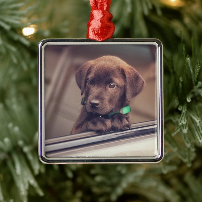 Chocolate Labrador Puppy In Car Metal Ornament (Tree)