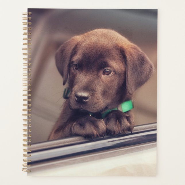 Chocolate Labrador Puppy In Car Planner (Front)