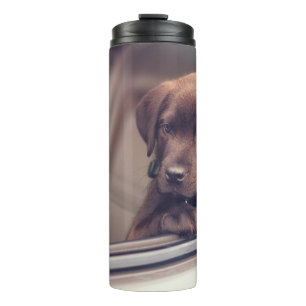 Chocolate Labrador Puppy In Car Thermal Tumbler