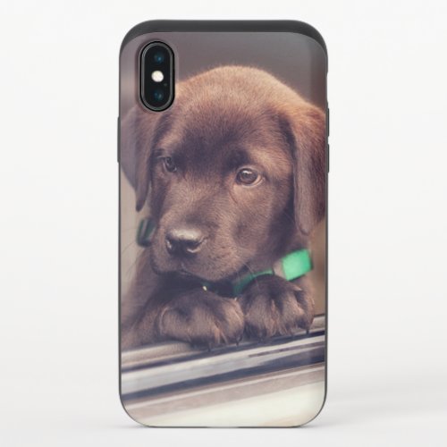 Chocolate Labrador Puppy In Car iPhone X Slider Case