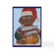 Chocolate Labrador Puppy in Santa Hat & duck toy