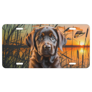 Chocolate Labrador Puppy License Plate, Duck Plate