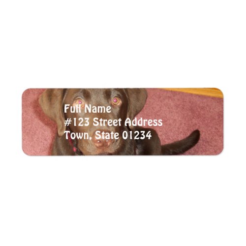 Chocolate Labrador Puppy  Mailing Label