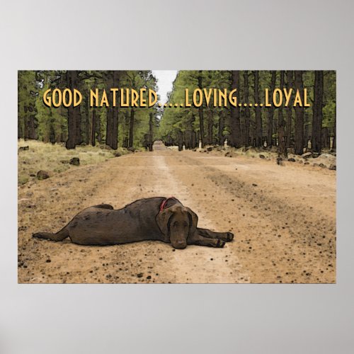 Chocolate Labrador Puppy On Forest Trail Custom Poster