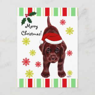 Chocolate Labrador Puppy & Santa Hat Christmas Holiday Postcard