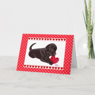 Chocolate Labrador Puppy Valentine's Day card
