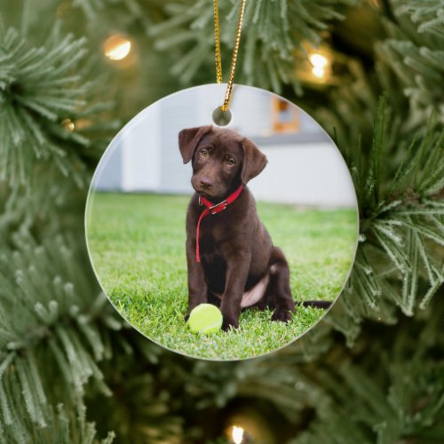 Chocolate Labrador Puppy With Tennis Ball Ceramic Ornament