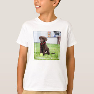 Chocolate Labrador Puppy With Tennis Ball T-Shirt