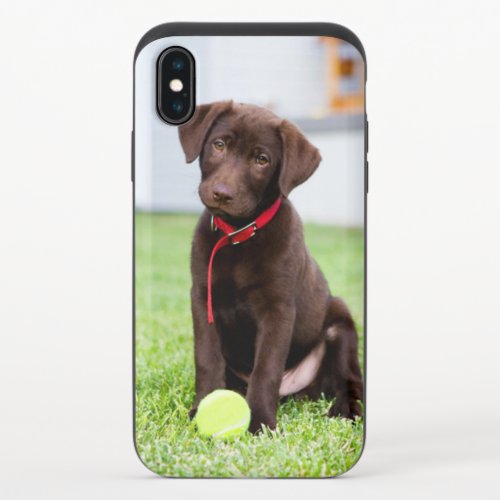 Chocolate Labrador Puppy With Tennis Ball iPhone X Slider Case