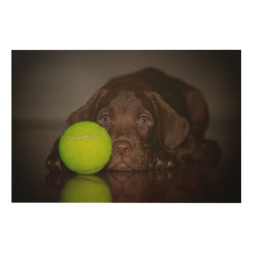 Chocolate Labrador Puppy With Tennis Ball Wood Wall Art