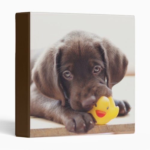 Chocolate Labrador Puppy With Toy Duck 3 Ring Binder
