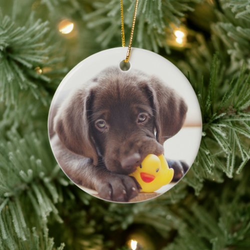 Chocolate Labrador Puppy With Toy Duck Ceramic Ornament