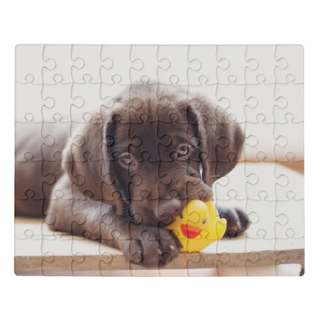 Chocolate Labrador Puppy With Toy Duck Jigsaw Puzzle (Puzzle Horizontal)