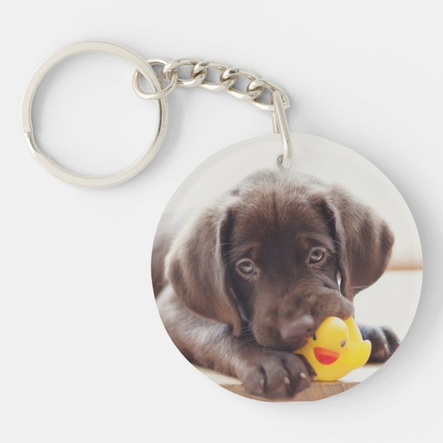 Chocolate Labrador Puppy With Toy Duck Keychain (Front)