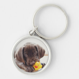 Chocolate Labrador Puppy With Toy Duck Keychain