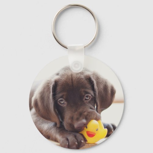 Chocolate Labrador Puppy With Toy Duck Keychain