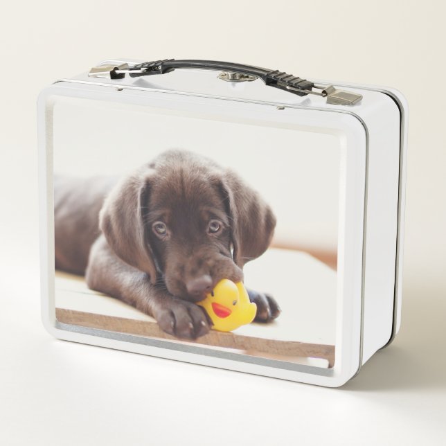 Chocolate Labrador Puppy With Toy Duck Metal Lunch Box (Back)