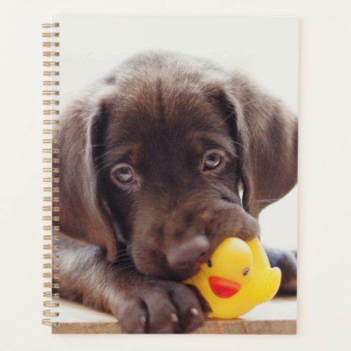 Chocolate Labrador Puppy With Toy Duck Planner