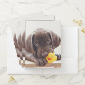 Chocolate Labrador Puppy With Toy Duck Pocket Folder