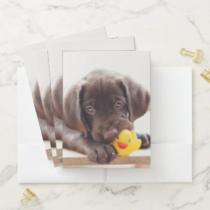 Chocolate Labrador Puppy With Toy Duck Pocket Folder