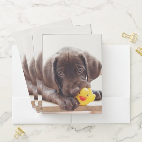 Chocolate Labrador Puppy With Toy Duck Pocket Folder