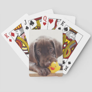 Chocolate Labrador Puppy With Toy Duck Poker Cards