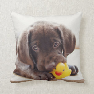 Chocolate Labrador Puppy With Toy Duck Throw Pillow