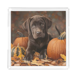 Chocolate Labrador Retriever Autumn Acrylic Tray