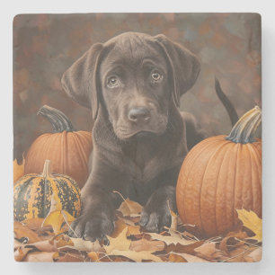 Chocolate Labrador Retriever Autumn Stone Coaster