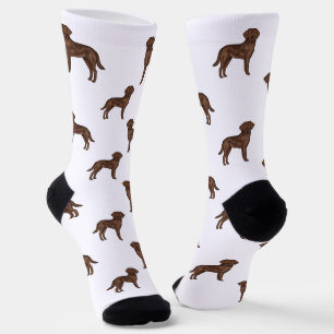 Chocolate Labrador Retriever Brown Dog Pattern Socks