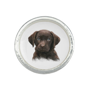 Chocolate Labrador Retriever Brown Ring