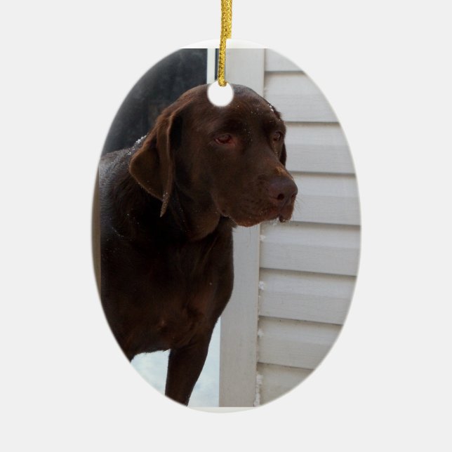 Chocolate Labrador Retriever Ceramic Ornament (Front)