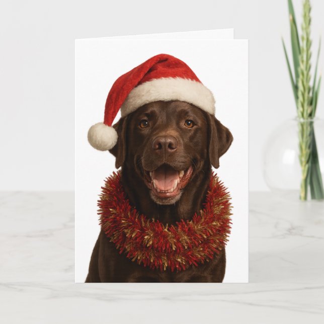 Chocolate Labrador Retriever Christmas card (Front)